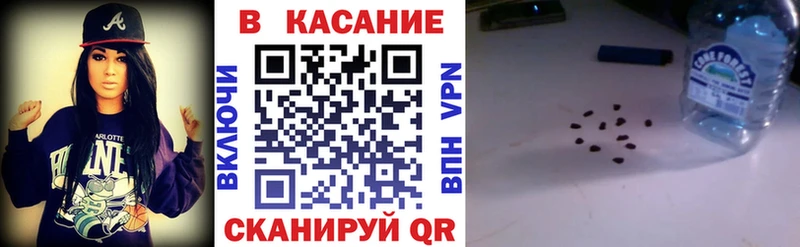  Cocaine Сокол