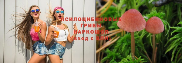 ешки Абинск
