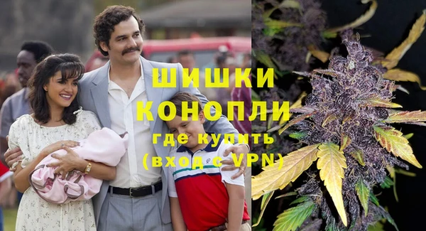 PSILOCYBIN Абаза