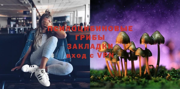 ешки Абинск