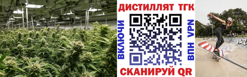 купить наркоту  Сокол  ТГК THC oil 
