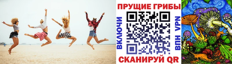 Псилоцибиновые грибы мухоморы  наркотики  Сокол 