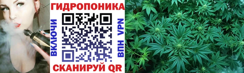Канабис семена Сокол